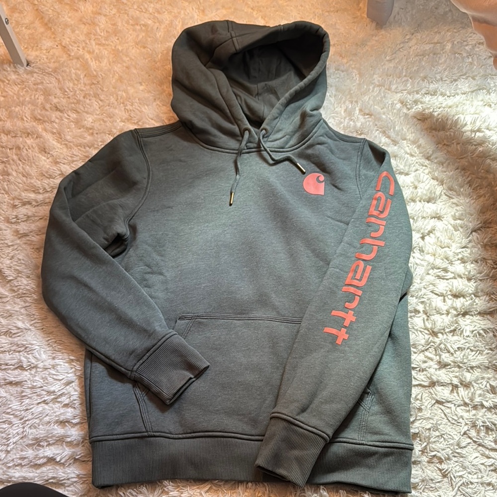 NEW Carhartt Men's Hoodie